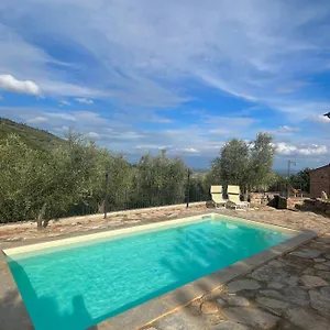 Campo Dei Lupi Ferienhaus Vicopisano